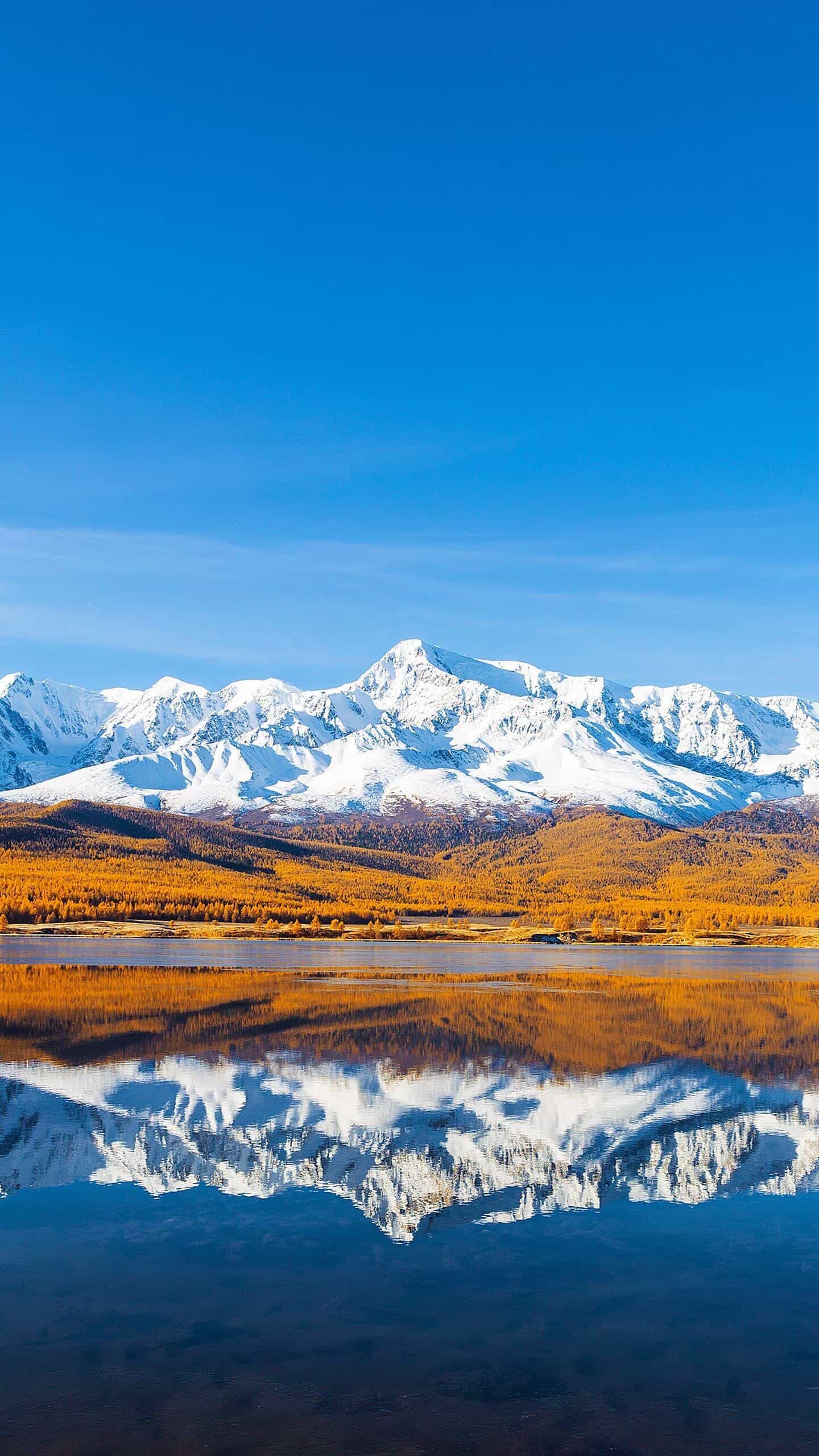 【C# FTP服务器】从零搭建:高效文件传输与安全管理的终极指南